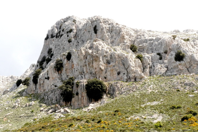Barbagia 2