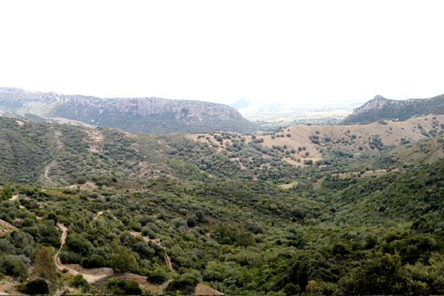 Barbagia